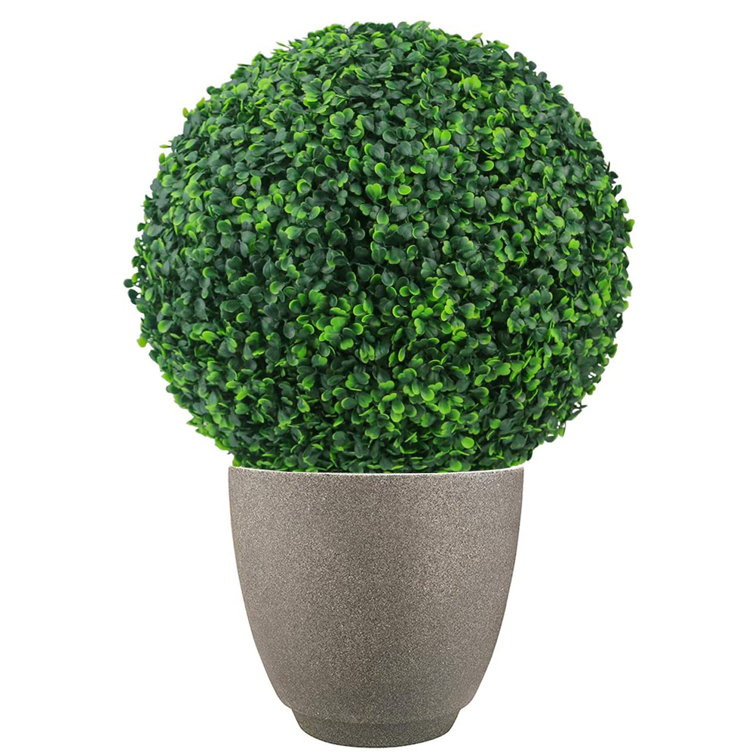 Primrue Artificial Boxwood Plant Wayfair Canada